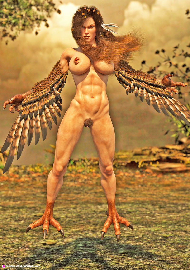 Harpy