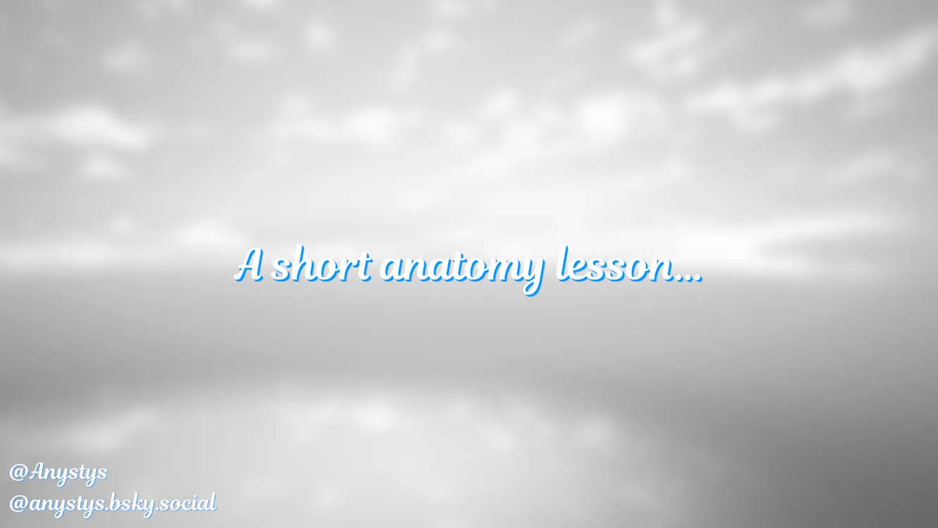 A short anatomy lesson&hellip;