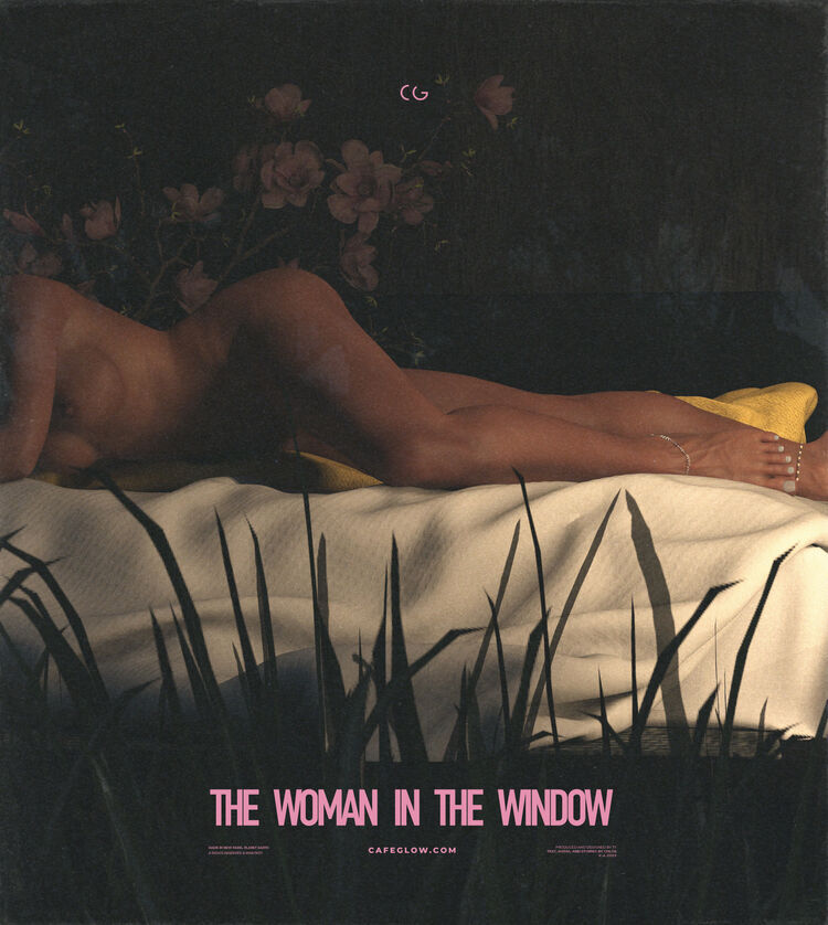 The Woman In The Window