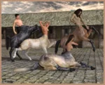 At The centaur's Stable