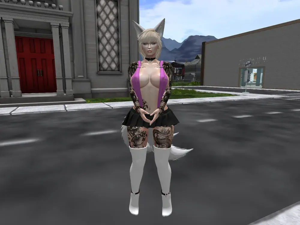 Second Life Outfits~