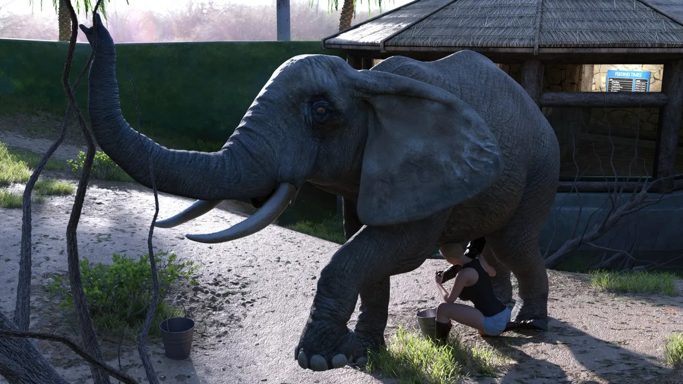 Zookeeper - Elephant