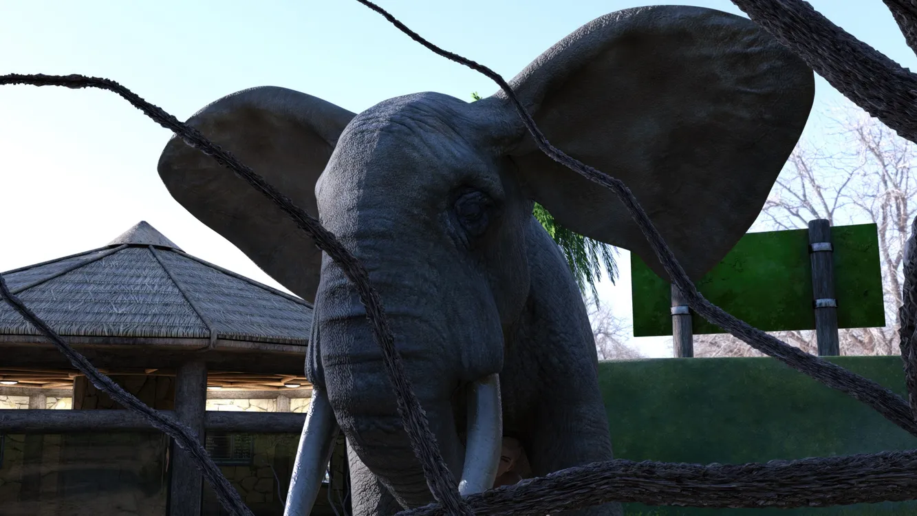 Zookeeper - Elephant