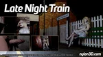 Late Night Train