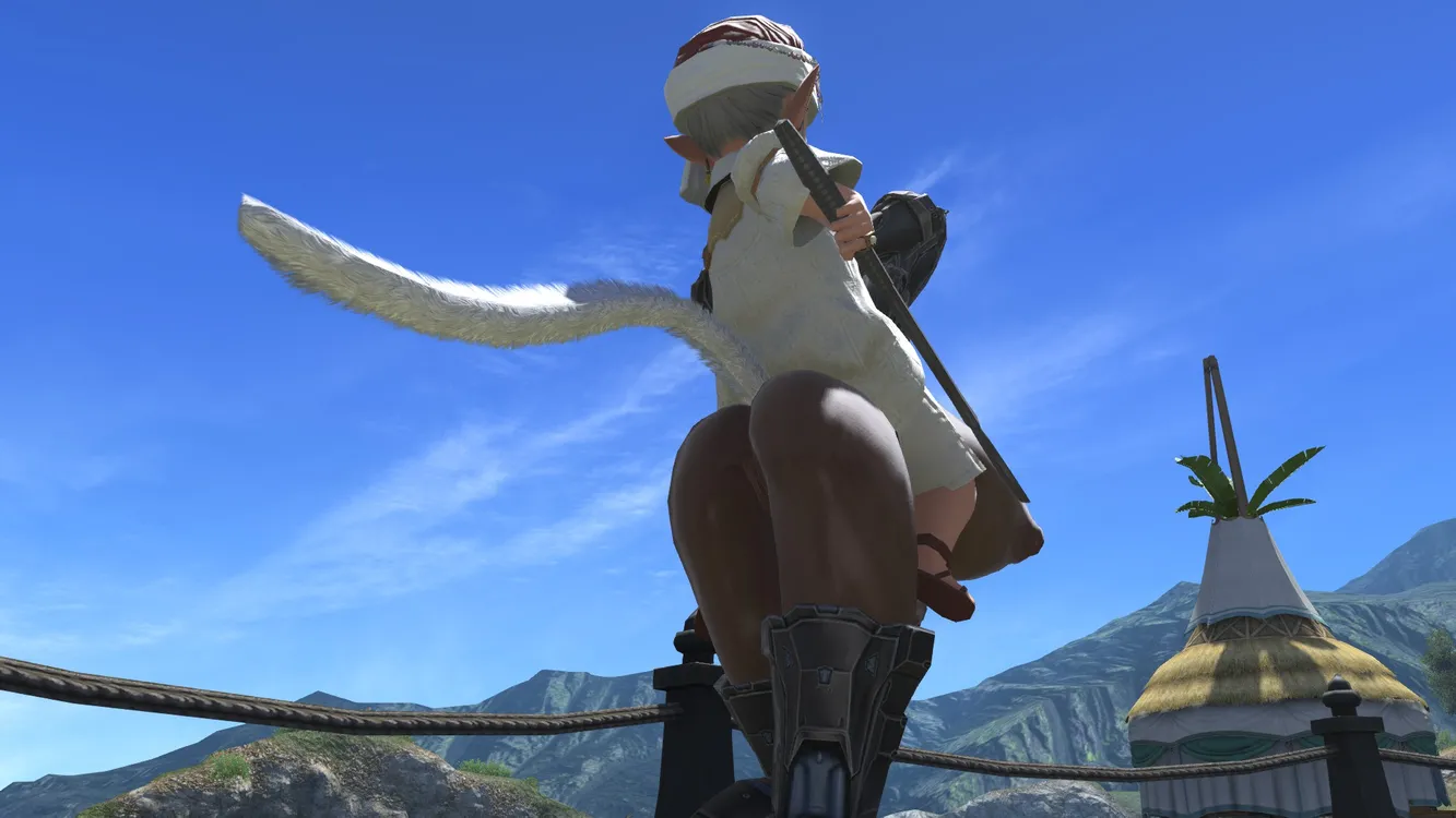 Miqo'mounts