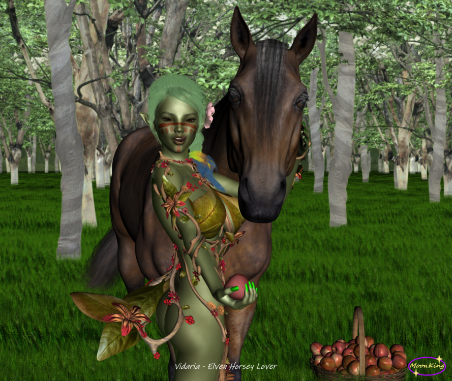 Vidaria - Elven Horsey Lover