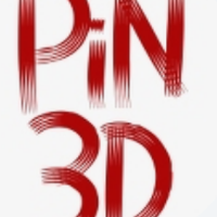 Pin3D